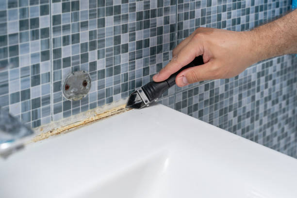 Best Toxic Mold Removal  in Oostburg, WI
