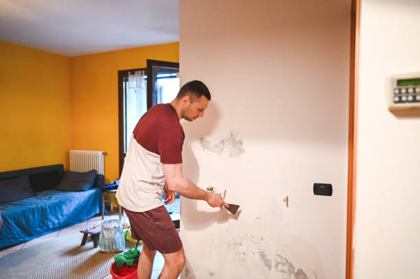 Best Office Mold Removal Services  in Oostburg, WI